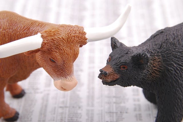 what is a bear market