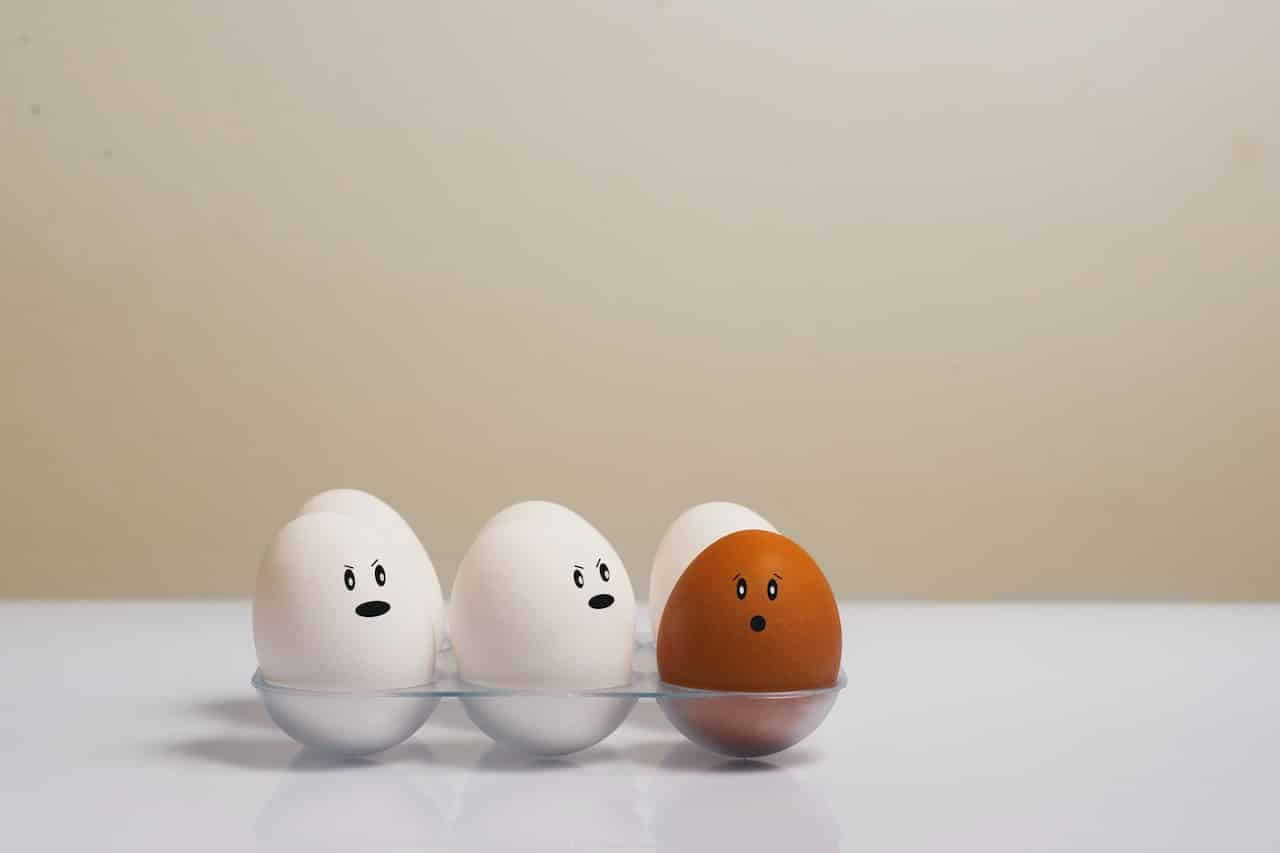 Key Differences Between Dividend Stocks and Bonds