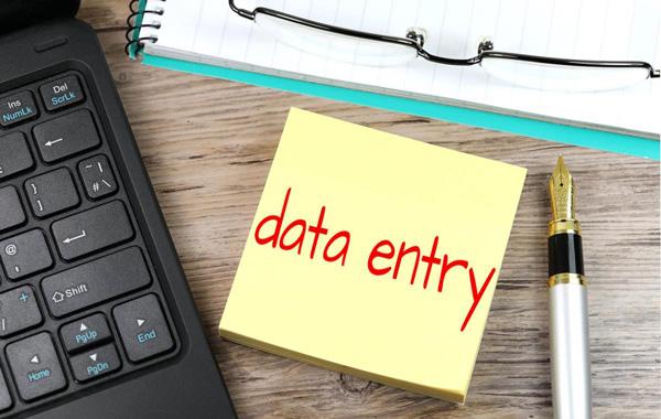 Data Entry Job