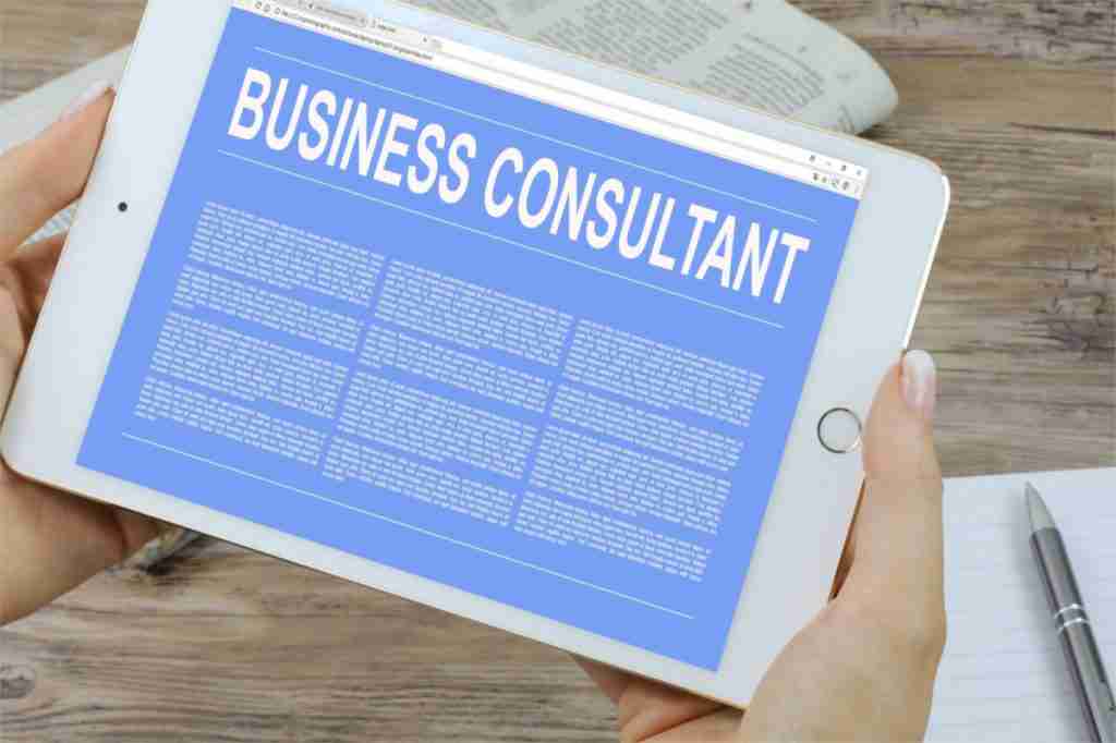 Business Consultant