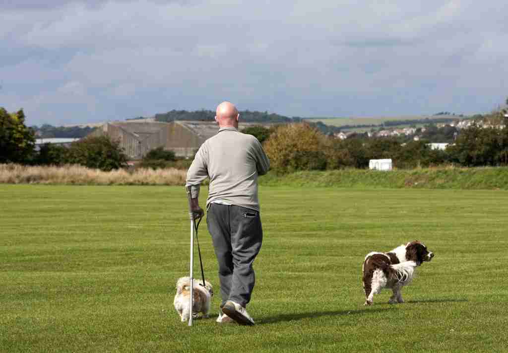 Dog Walker